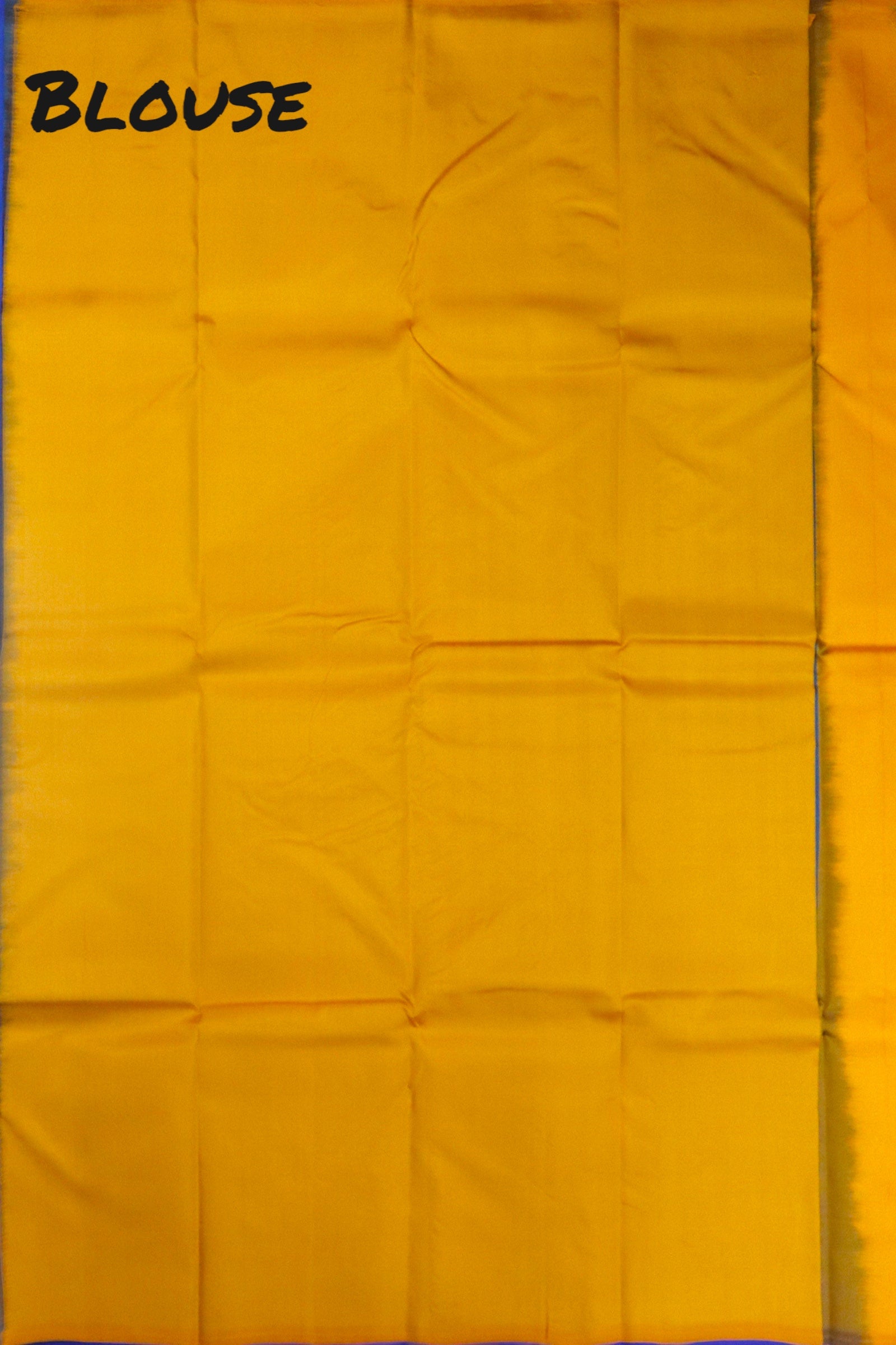 EGYPTIAN BLUE KANCHIPURAM PURE SOFT SILK SAREE | SILKMARK® CERTIFIED