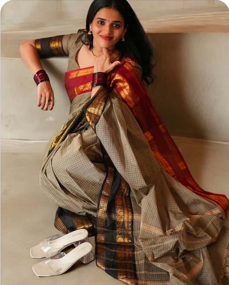 PREMIUM DUAL BORDER BANARASI KATAAN SILK SAREE - MULTI