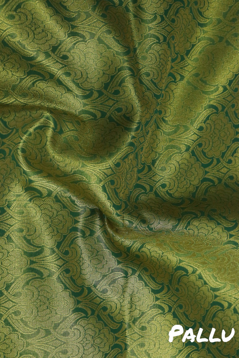 OLIVE GREEN WIDE BORDER TISSUE SILK SAREE