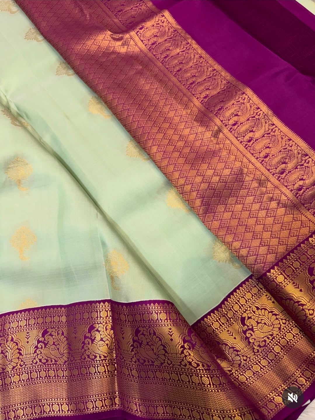 KANCHIPURAM PURE SILK SAREE | SILKMARK® CERTIFIED - PISTA REEN