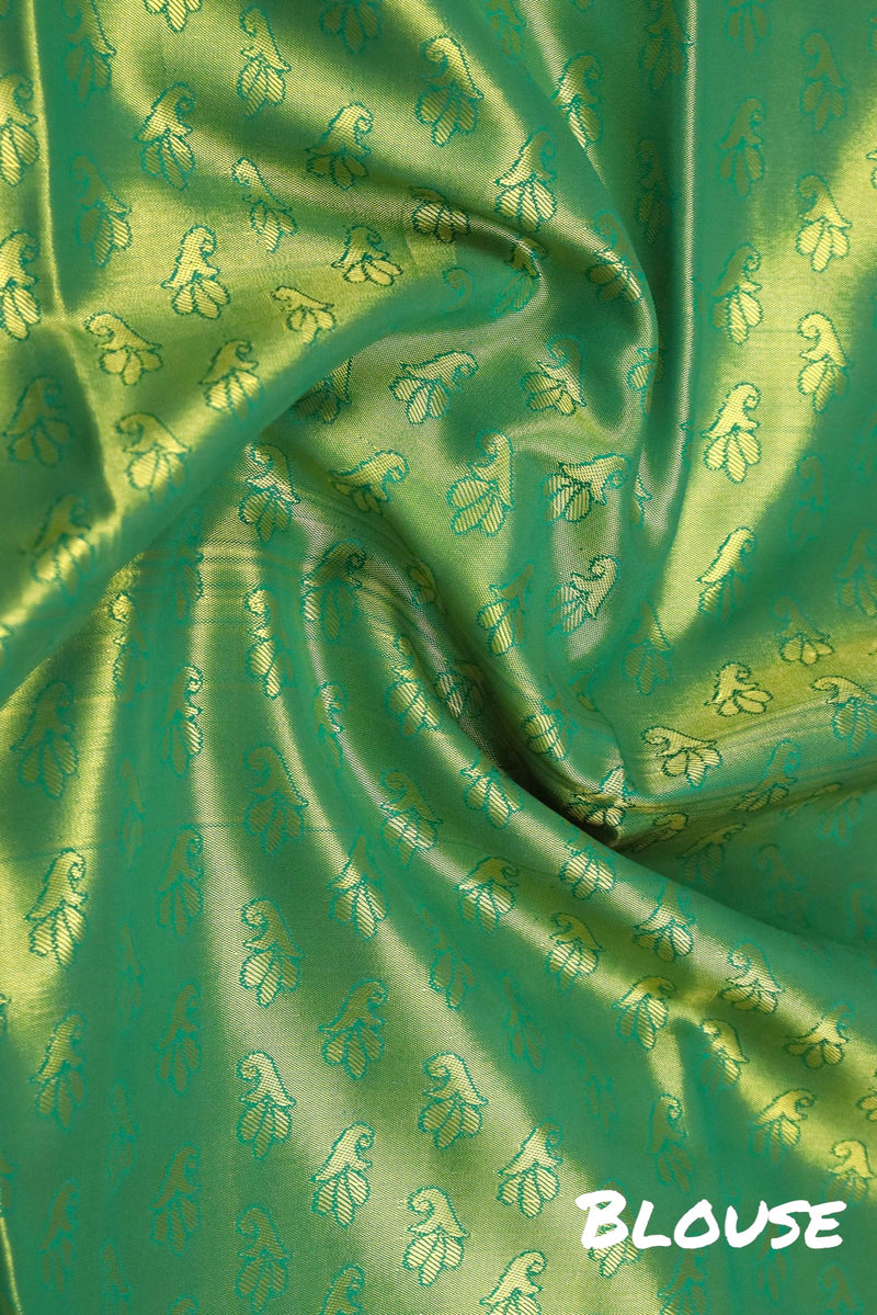 OLIVE GREEN WIDE BORDER TISSUE SILK SAREE